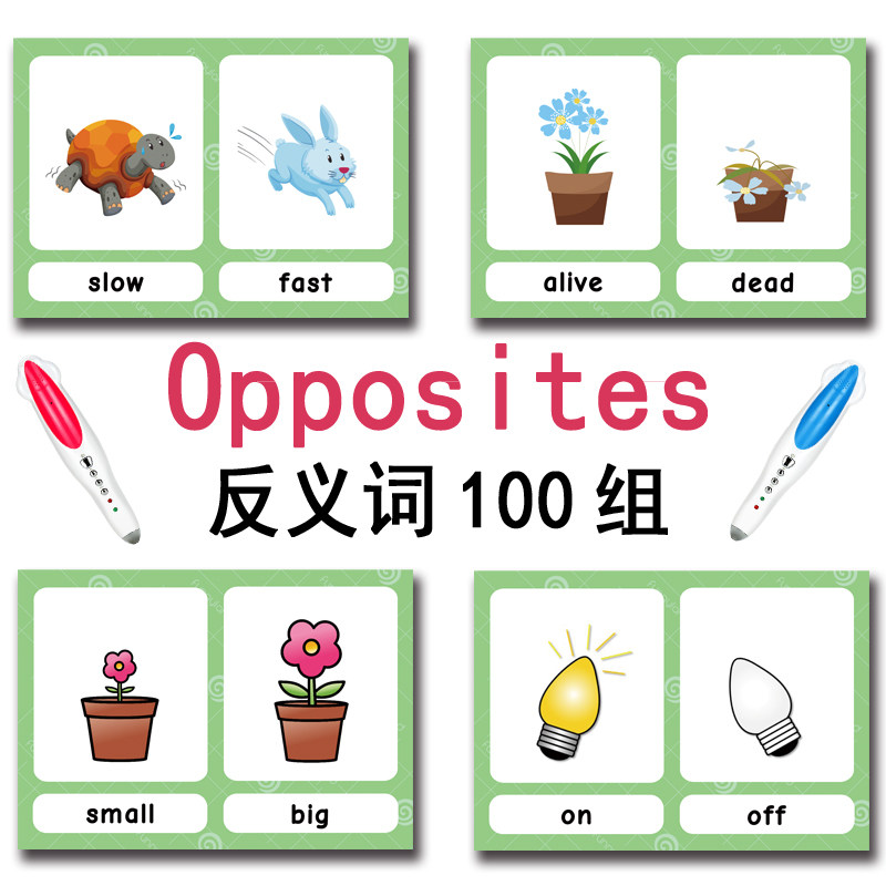 The 100 Groups Opposites Flash - Board Game Education recension och pris