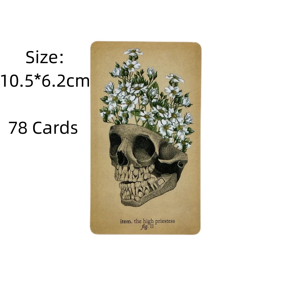 The Antique Anatomy Tarot Card - Card Game Deck recension och pris
